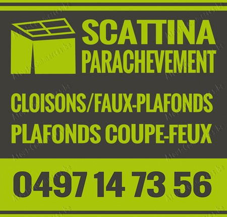 Scattina Steven