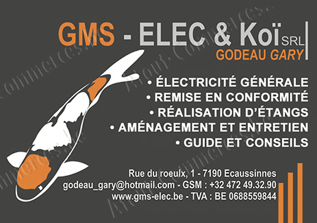 GMS - ELEC & Koï Srl - Godeau Gary