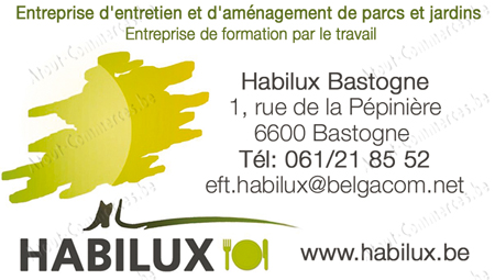 Habilux AID Asbl