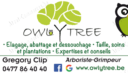 Owlytree