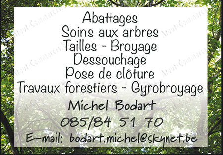 Bodart Michel