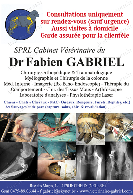 Gabriel Fabien