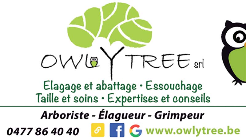 Owlytree 