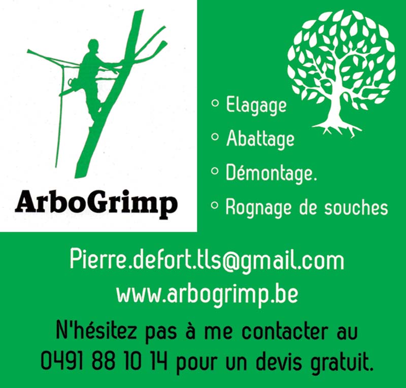 Arbogrimp