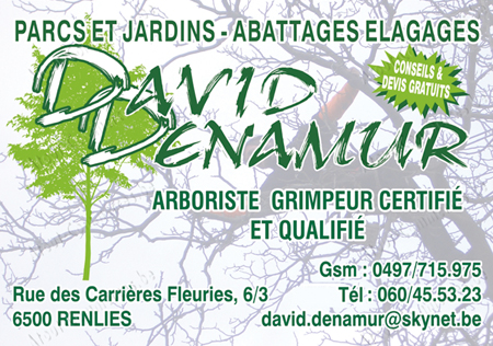 Denamur David