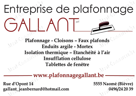 Gallant Sprl