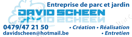 Scheen David