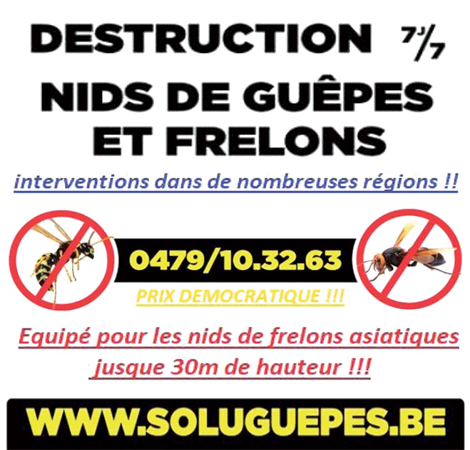 Soluguèpes