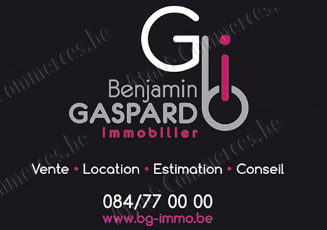 Benjamin Gaspard Immobilier