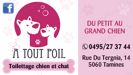 A Tout Poil