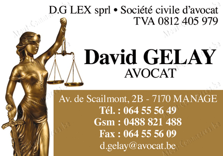 D.G. Lex Sprl