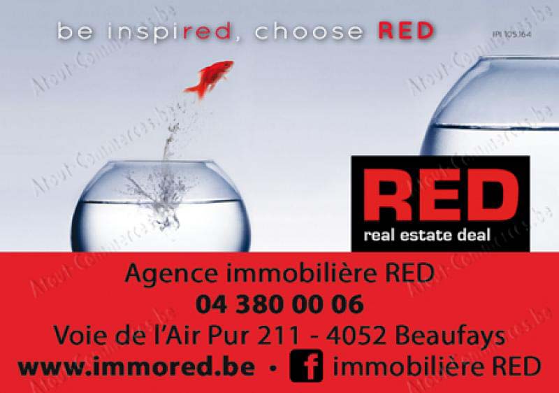 Agence Immobilière Red
