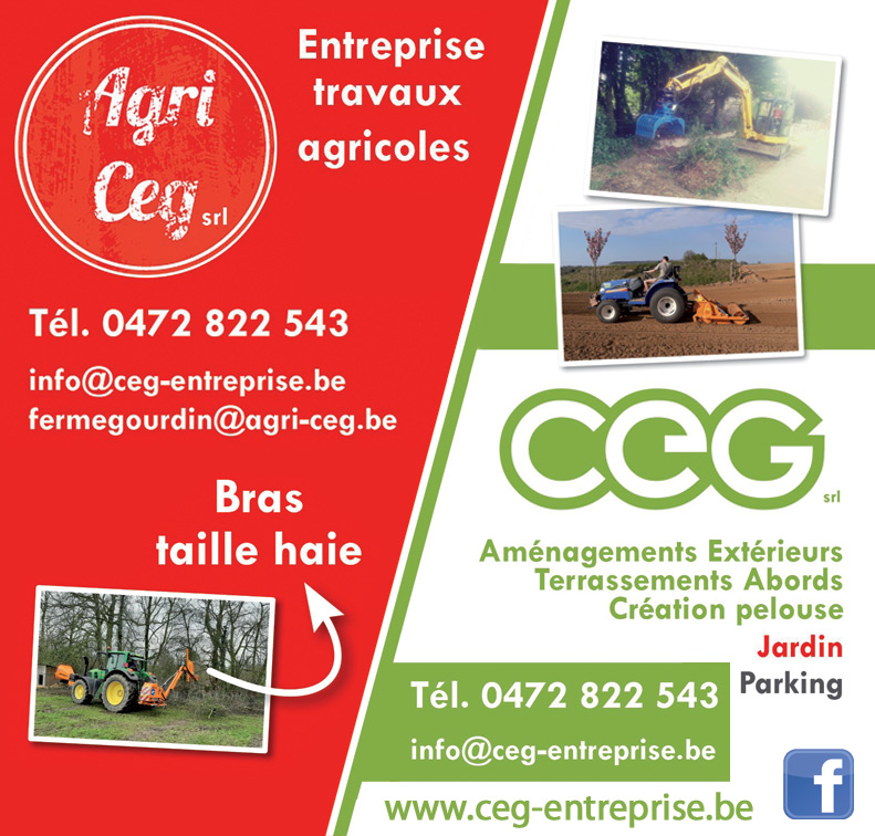 CEG Srl