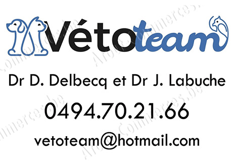 Vétoteam