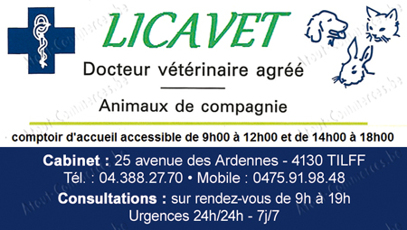 Licavet