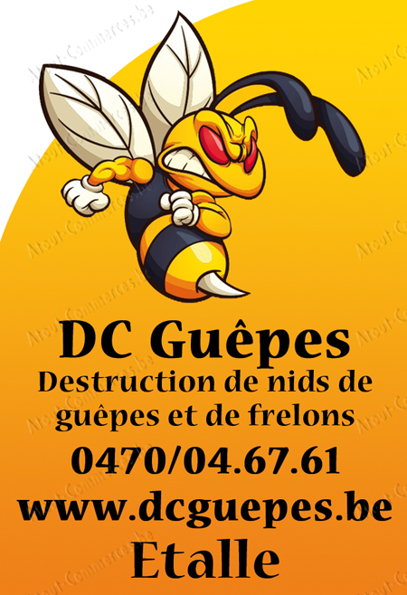 DC Guêpes