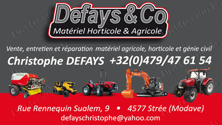 Defays & Co