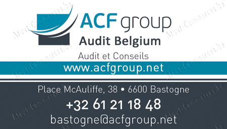 ACF Audit Belgium Sa