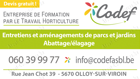 Codef
