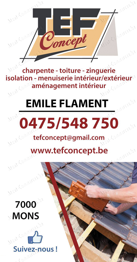 TEF Concept