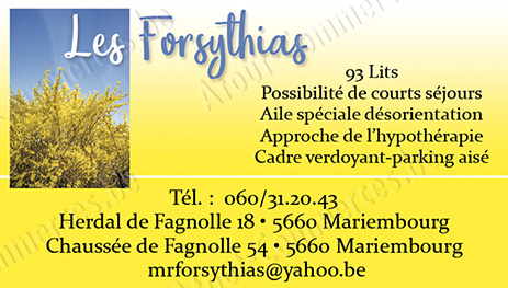 Les Forsythias