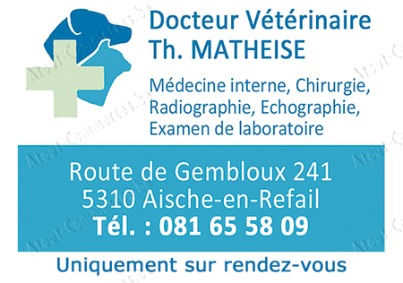 Matheise Thierry