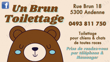 Un Brun Toilettage