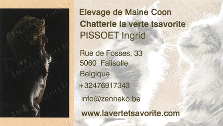 La Verte Tsavorite