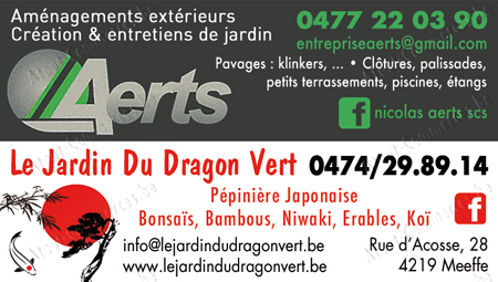 Aerts Nicolas Scsr