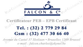 Falcon & Co Sprl